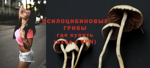 прущие крисы Алексеевка