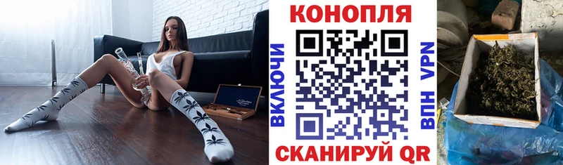 Конопля конопля  как найти закладки  Беломорск 